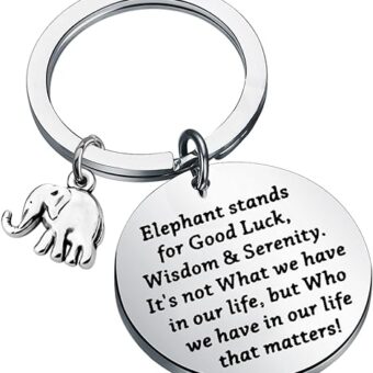 KUIYAI Elephant Good Luck Gift Elephant Charm Keychain Lucky Elephant Gift Elephant Lovers Gift Wish Wisdom Gift For Friends