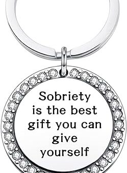 Sobriety Gifts for Men AA Jewelry NA Recovery Gift Step Sisters Keychain Women Sobriety Gift Addiction Recovery Gift