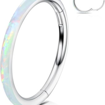 WBRWP 316L Stainless-Steel Piercing-Ring Hinged Nose-Rings-Hoop with Zircon/Opal 14G 16G 18G 20g Body Pierecing Ring Segment Clicker Lip Rings Cartilage Rook Earrings Diameter 8mm 10mm