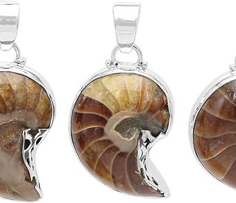 Ammonite Fossil Gemstone 925 Sterling Silver Pendant Necklace, Bohemian Pendant, Gemstone Jewelry For Women, Choose Your Style