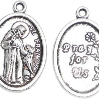 Pack of 100 Catholic St. Francis Pray For Us My Pet Dog Cat Medal 1 Inch