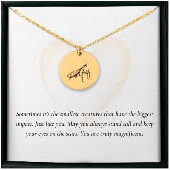 Personalized Praying Mantis Necklace – Symbol of Focus and Impact, Gift for Those Who Stand Tall