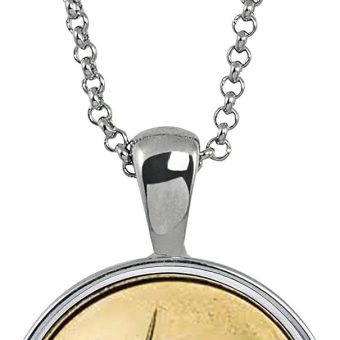 American Coin Treasures Barn Swallow Coin Necklace- Genuine Solvenia Coin Silvertone Pendant with Round Bezel| Bird in Flight Medallion Pendant | 18 Inch Cable Chain with 3 Inch Extender