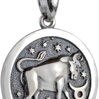 Zodiac Sign Pendant Necklace 925 Sterling Silver Horoscope Medallion Coin Disc Choker Charm Constellation Astrology Jewelry for Men Women